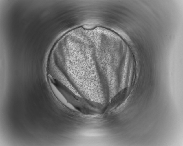 X0000088731248200706212033