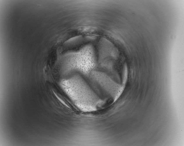 X0000088731250200706212033