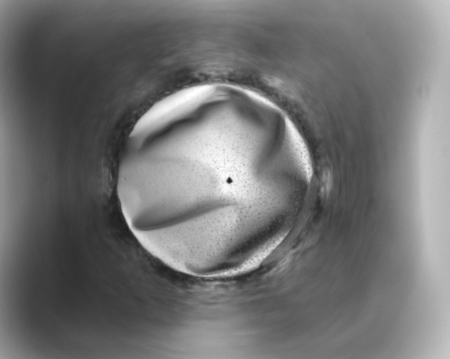 X0000088731253200706212033