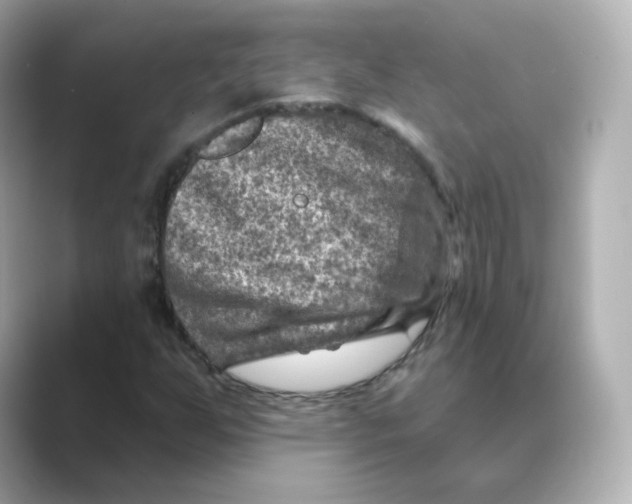 X0000088731255200706212033