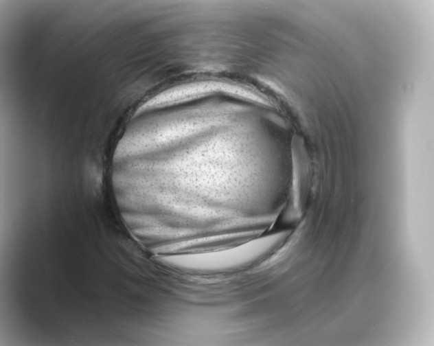 X0000088731257200706212032