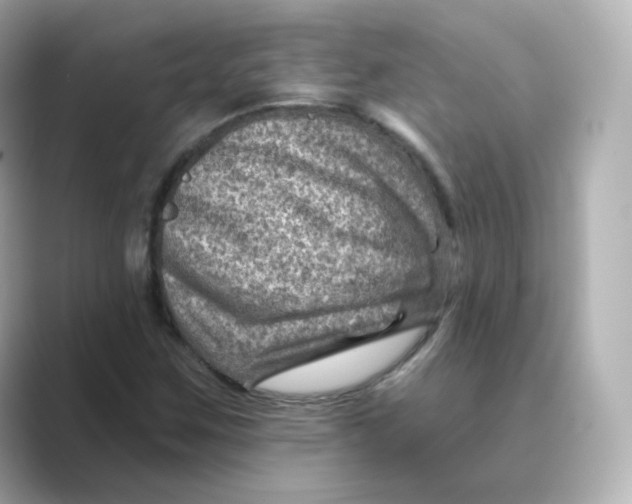 X0000088731259200706212032