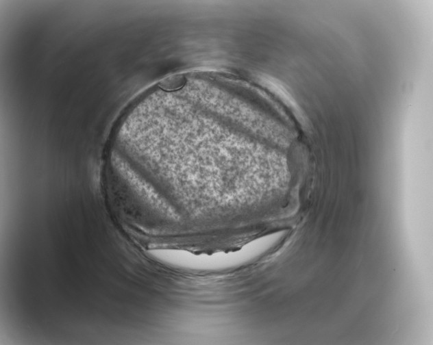 X0000088731260200706212032