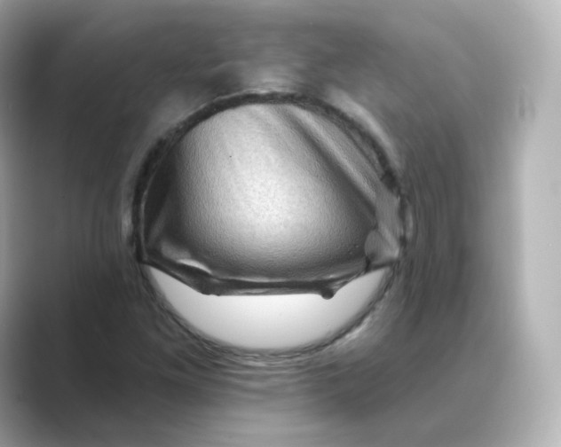X0000088731261200706212032
