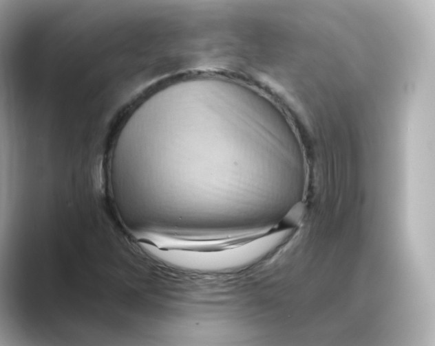 X0000088731262200706212032