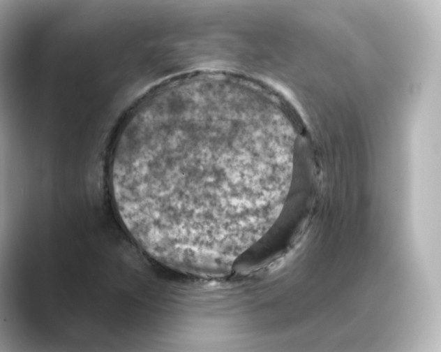 X0000088731263200706212032