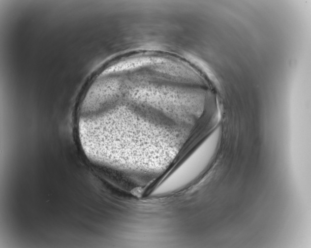 X0000088731264200706212032