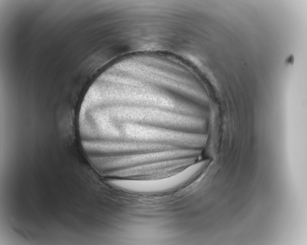 X0000088731265200706212032