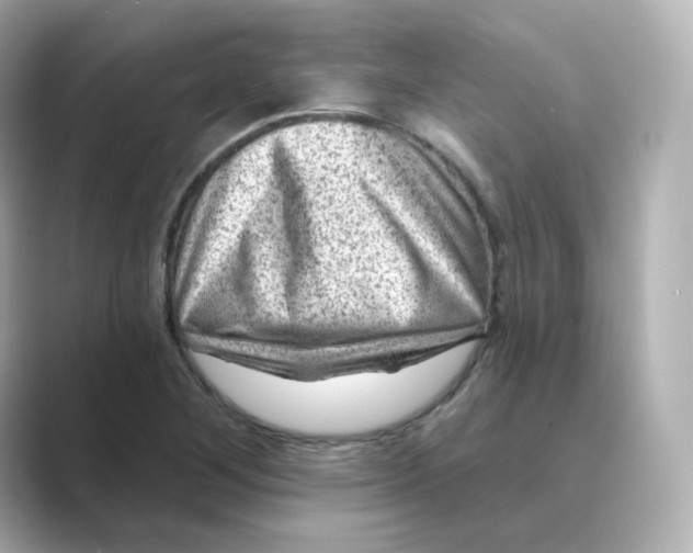X0000088731268200706212032