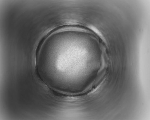 X0000088731269200706212032