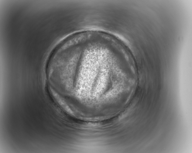 X0000088731271200706212032