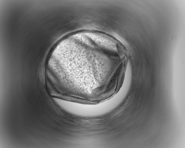 X0000088731272200706212032