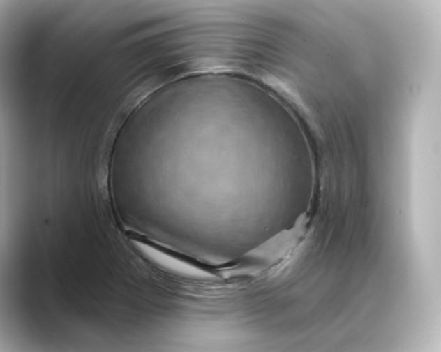 X0000088731273200706212032