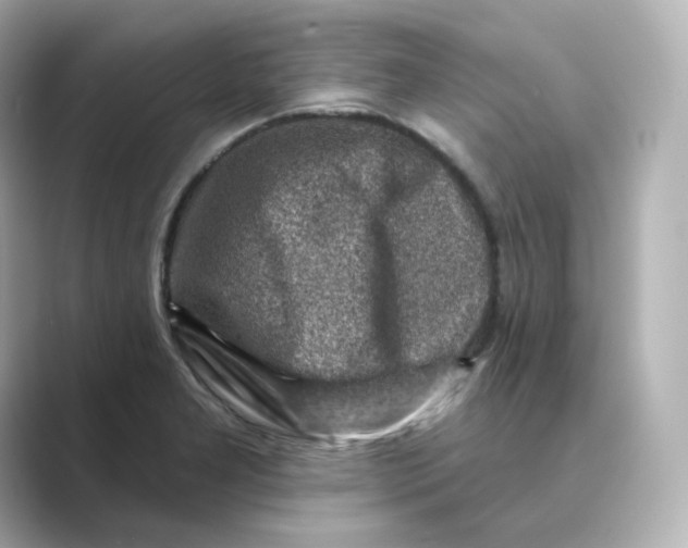 X0000088731277200706212032