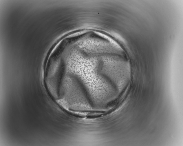 X0000088731280200706212032