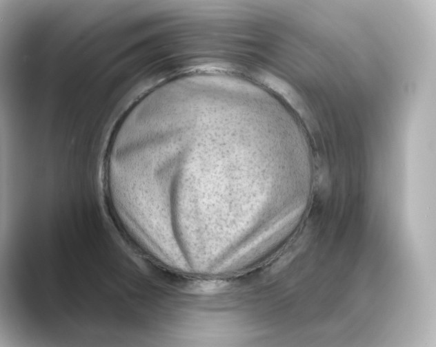 X0000088731282200706212032