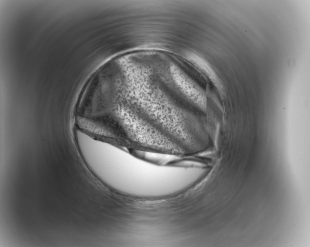 X0000088731284200706212032