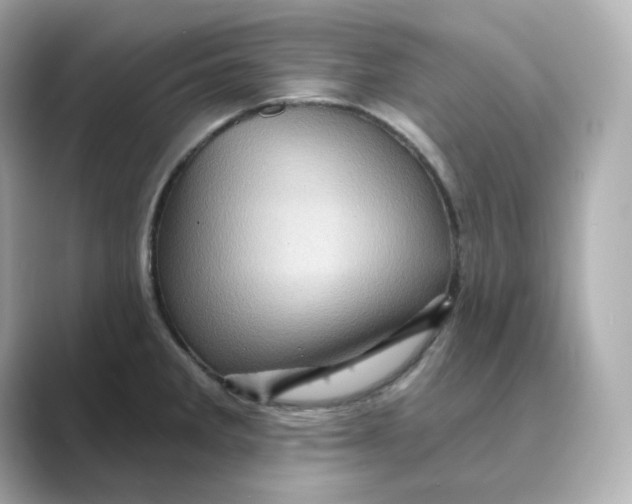 X0000088731285200706212032