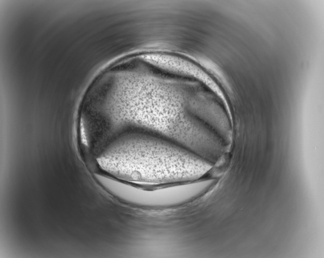 X0000088731288200706212032