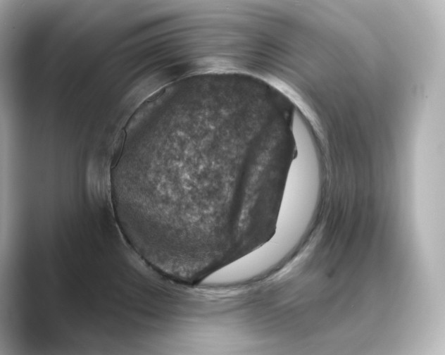 X0000088731289200706212032