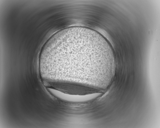 X0000088731290200706212032