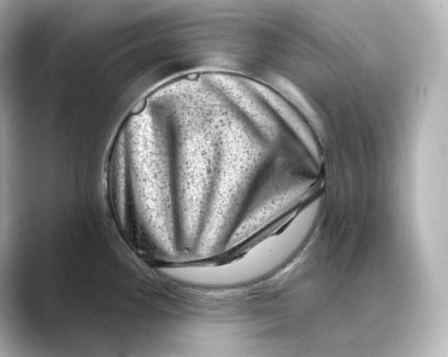 X0000088731292200706212032