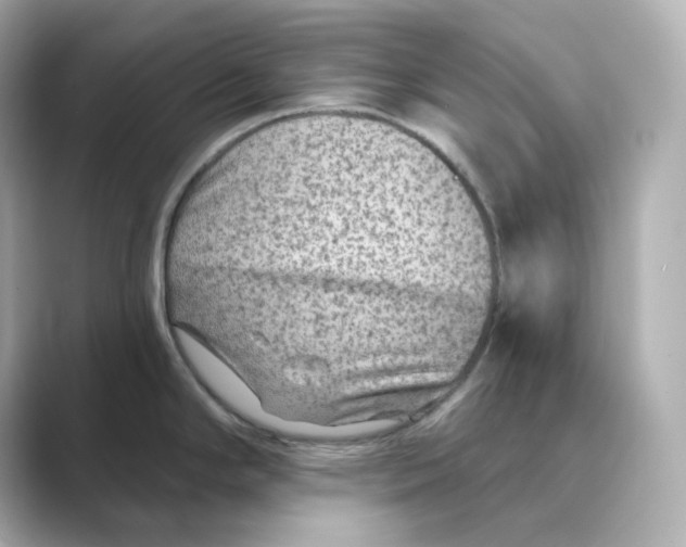 X0000088731294200706212032