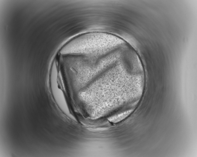 X0000088731296200706212032