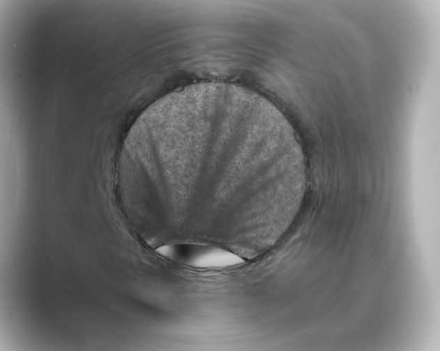 X0000088731297200706212031