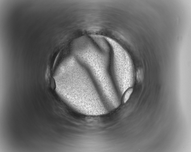 X0000088731299200706212031