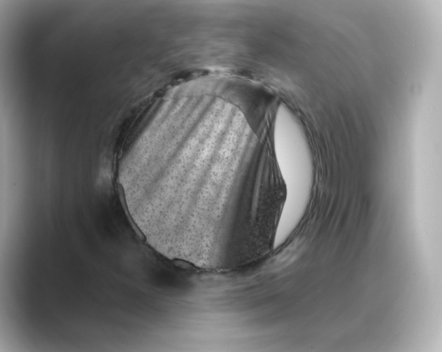 X0000088731300200706212032