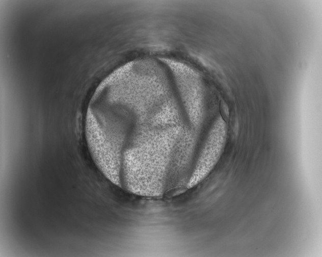 X0000088731301200706212032