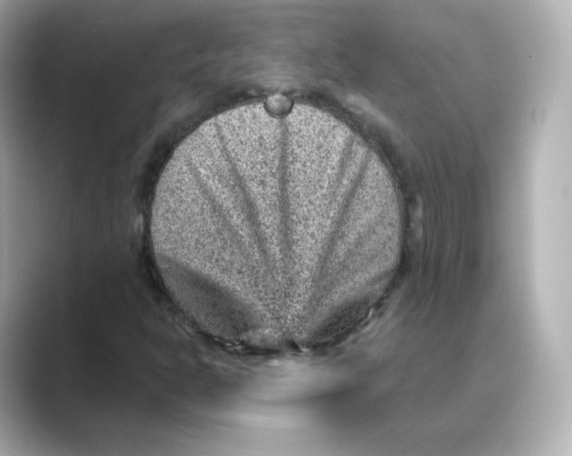 X0000088731302200706212032