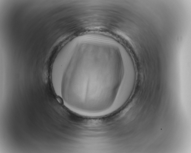 X0000088731306200706212032