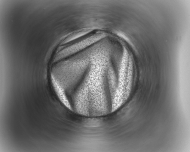 X0000088731307200706212032
