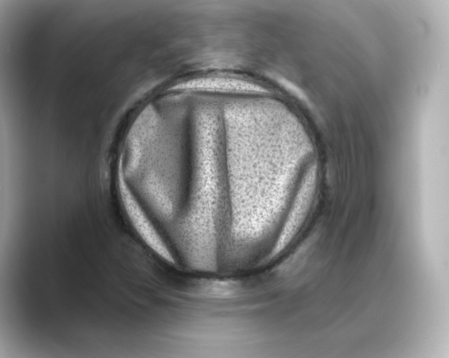 X0000088731309200706212032