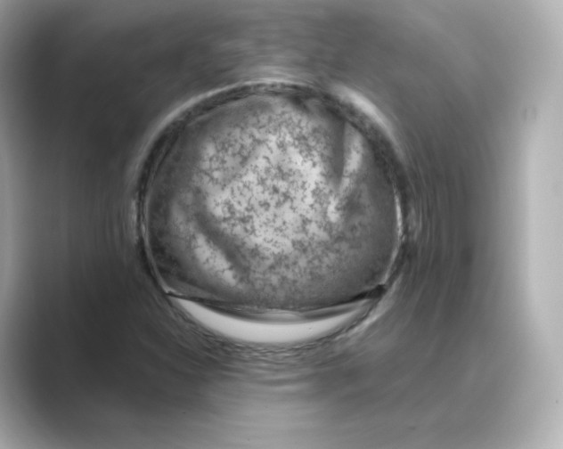 X0000088731310200706212032