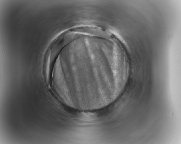 X0000088731312200706212032