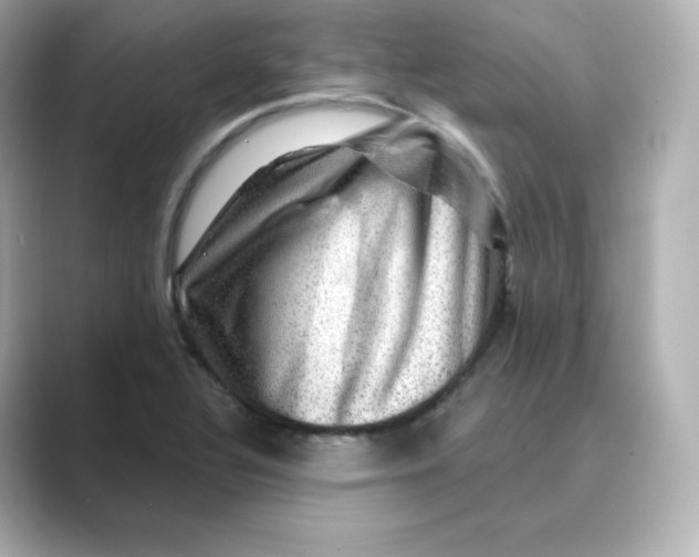 X0000088731320200706212032