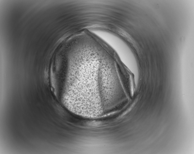 X0000088731321200706212032