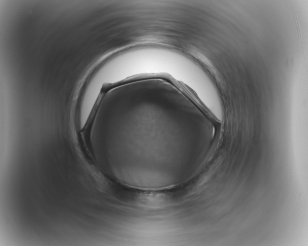 X0000088731323200706212032