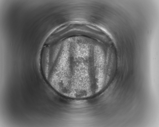 X0000088731325200706212032
