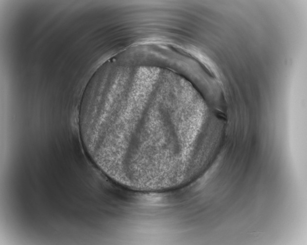 X0000088731329200706212032