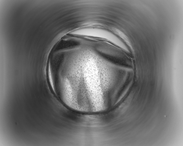 X0000088731330200706212032