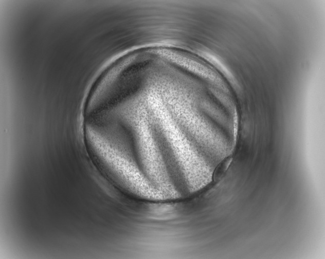 X0000088731332200706212032