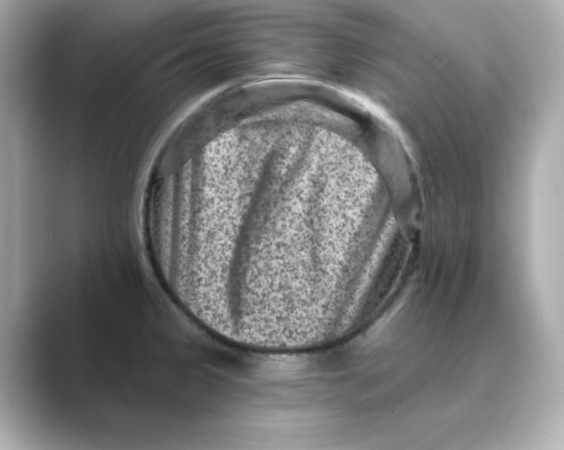 X0000088731333200706212032