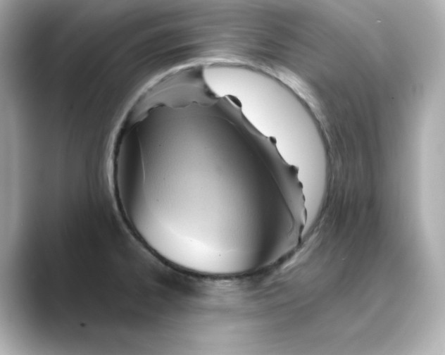 X0000088731334200706212032