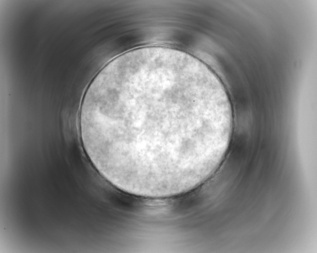 X0000088731338200706212032