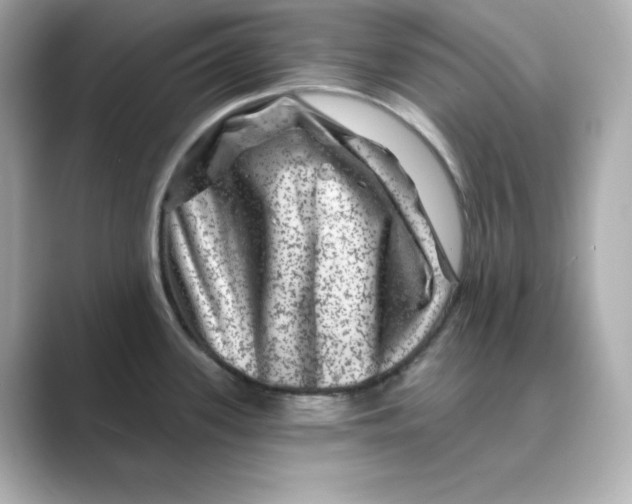 X0000088731339200706212032