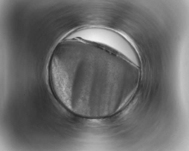 X0000088731341200706212032